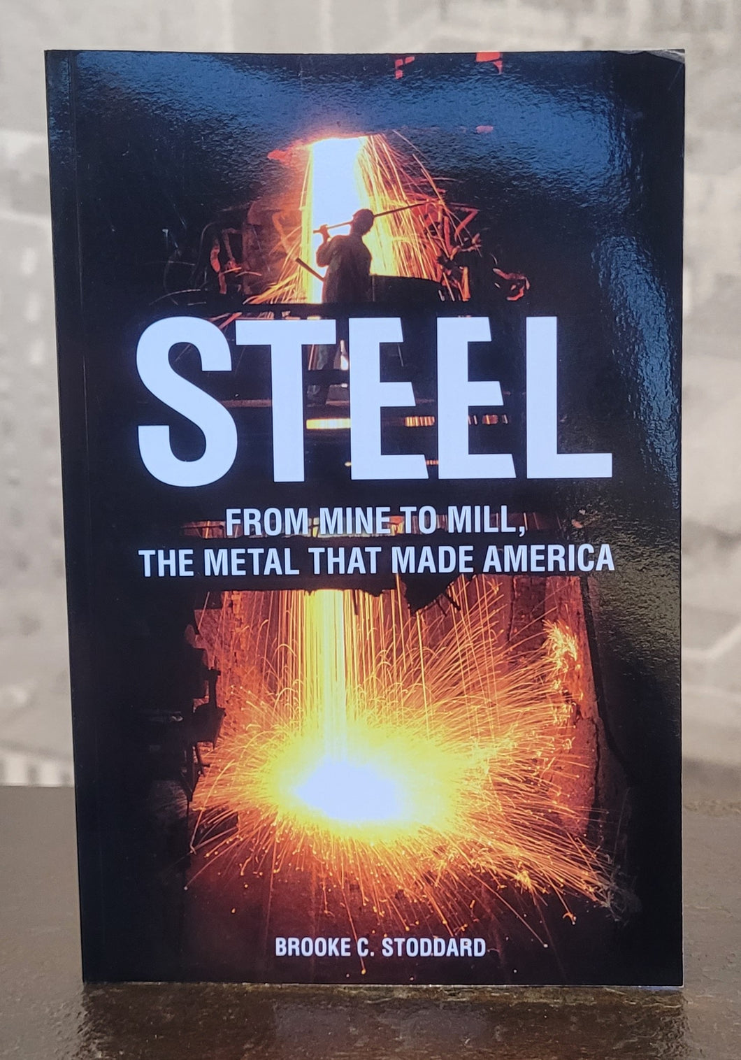 Steel: From Mine to Mill, the Metal that Made America